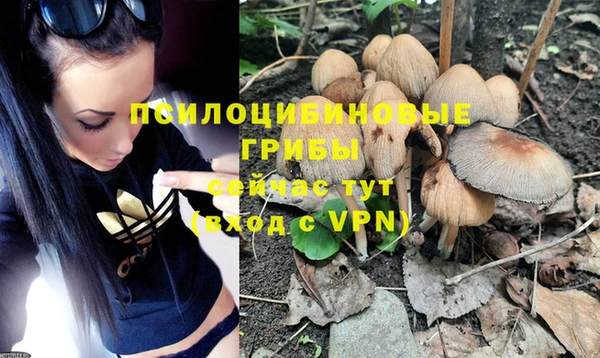 MESCALINE Тобольск