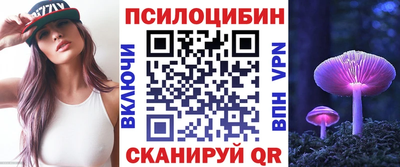Псилоцибиновые грибы Psilocybine cubensis  Томилино 